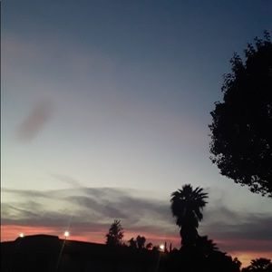 Meet your Posher, Mia